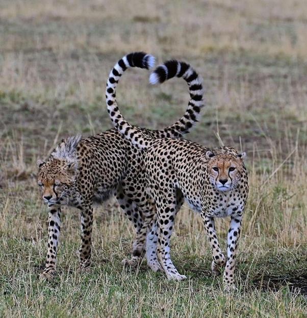 Weltevreden Game Lodge Блумфонтейн Екстер'єр фото